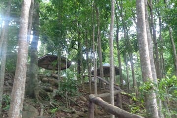 Private Day Tour to Estrella Falls from Puerto Princesa