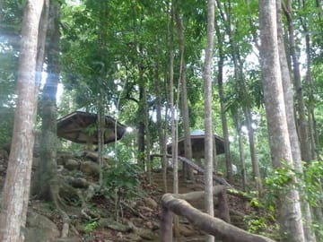 Private Day Tour to Estrella Falls from Puerto Princesa