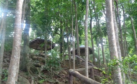 Private Day Tour to Estrella Falls from Puerto Princesa