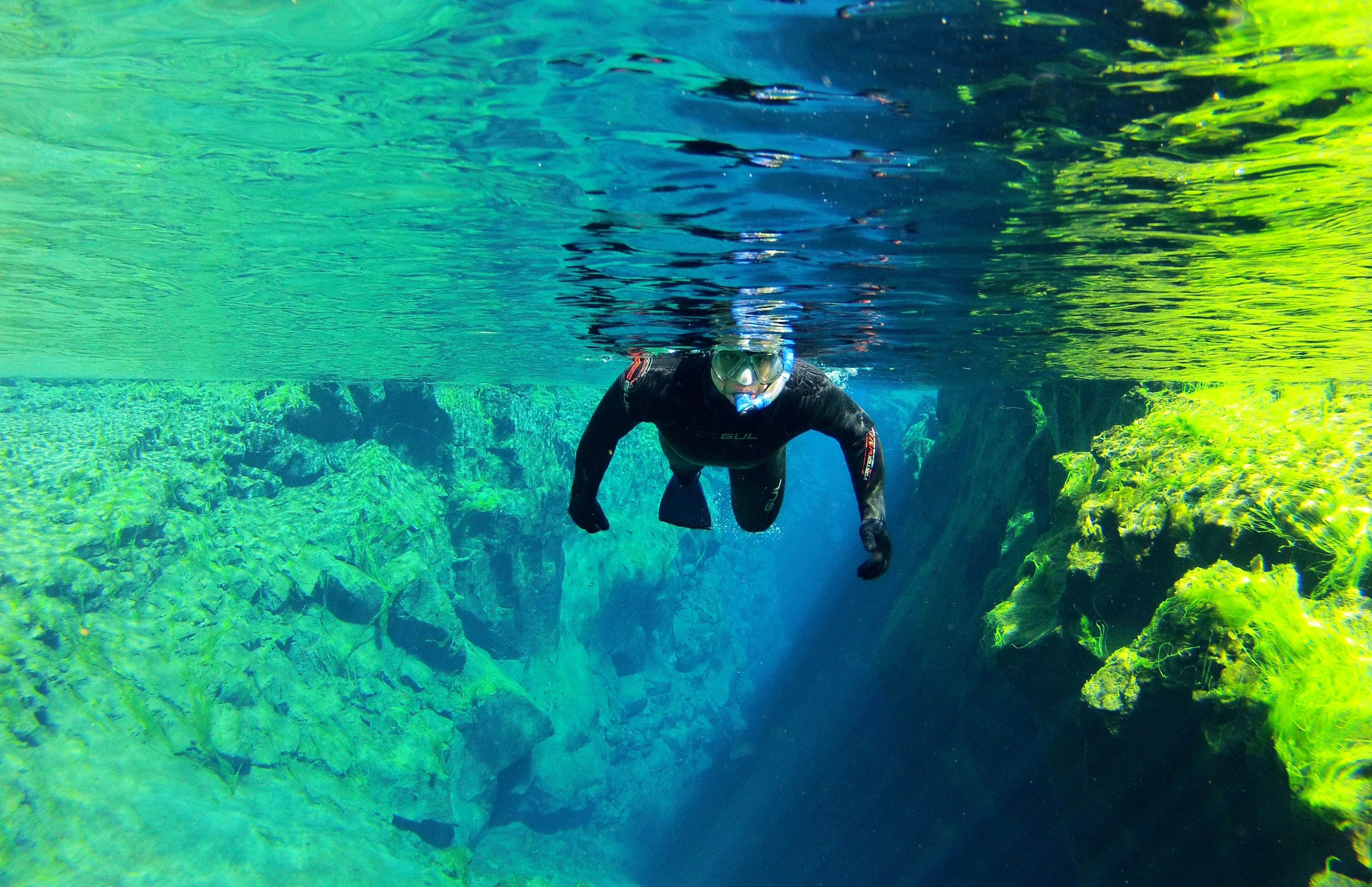 PRIVATE: Silfra Snorkeling - with underwater photos / From Reykjavik