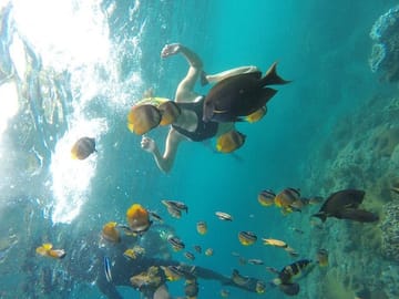 Full-Day Snorkeling Tour in Nusa Penida from Denpasar