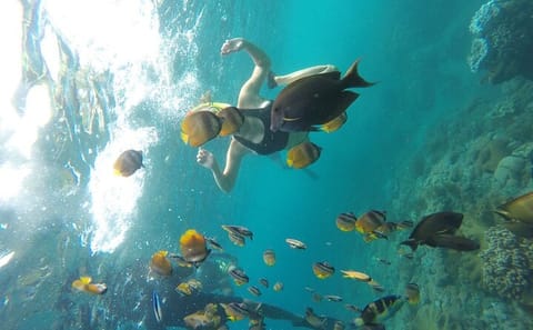 Full-Day Snorkeling Tour in Nusa Penida from Denpasar