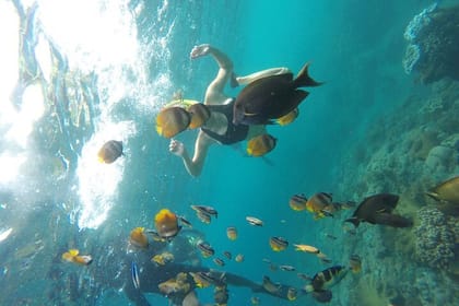 Nusa Penida Snorkling Package