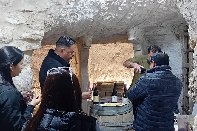 Ribera del Duero: 2 visitas a bodegas y transporte desde Madrid