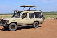 Private Game Drive in Maasai Mara 2