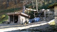 Skip the Line: Tour in Open Air Ethnographic Museum ETAR + ticket 3