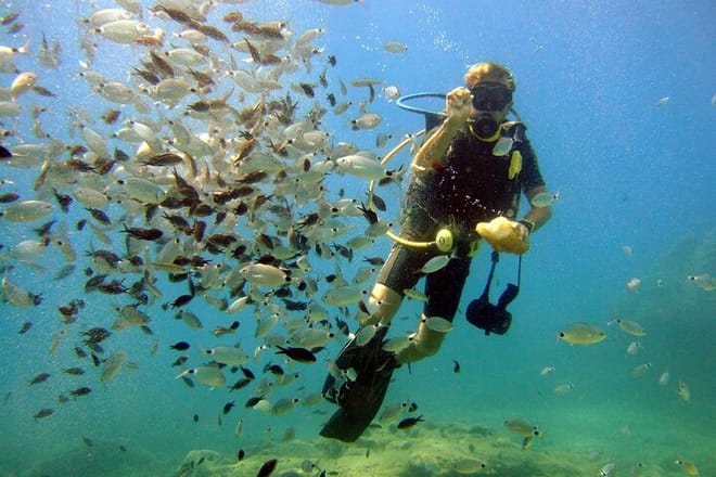 Scuba Diving Experience Tour from Side 8
