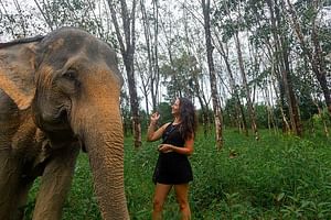 Khao Lak: All-Day Elephant Sanctuary Experience in Small Groups