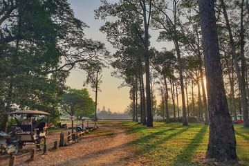 Private Temples Guided Tour (Angkor Wat, Ta Prom & Angkor Thom)