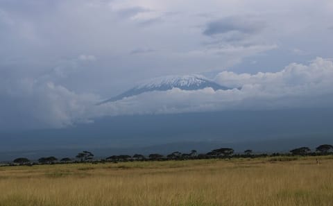 2-Day Private Safari to Amboseli National Park