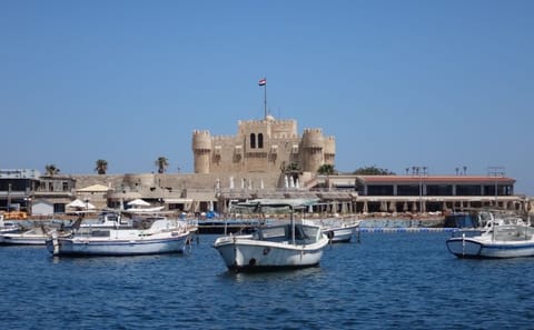 Diving Adventure in Alexandria's Ancient Underwater Ruins