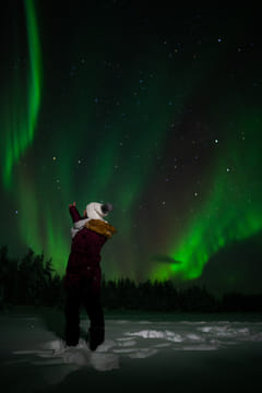 Arctic Circle: Northern Lights Hunting by Minibus