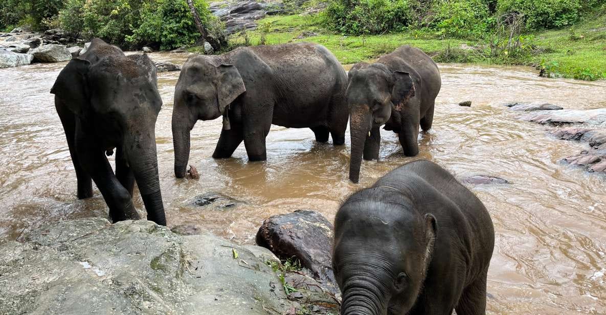 Explore More Chiang Mai: Waterfall, Elephant Sanctuary and Bamboo Rafting