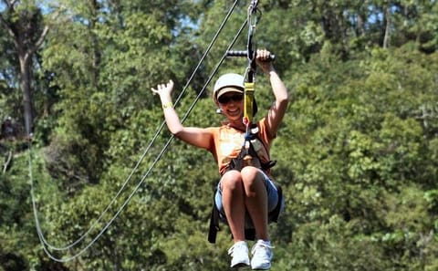 Zipline Canopy and Dunn's River Falls Tour in Ocho Rios