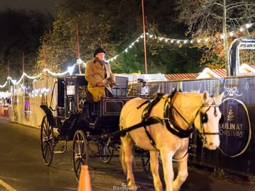 Dublin Christmas Walking Tour: Explore Holiday Charm and History
