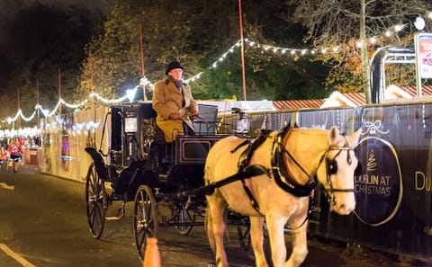 Dublin Christmas Walking Tour: Explore Holiday Charm and History