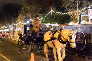 Dublin Christmas Walking Tour: Explore Holiday Charm and History