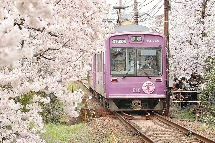 Arashiyama, SanzenIn and Bamboo Forest Day Tour from Kyoto/Osaka