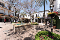 City Walk + Wine and Olive Oil tasting 5