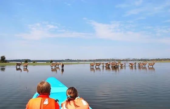 Lake Naivasha and Hellsgate Day Tour from Nairobi