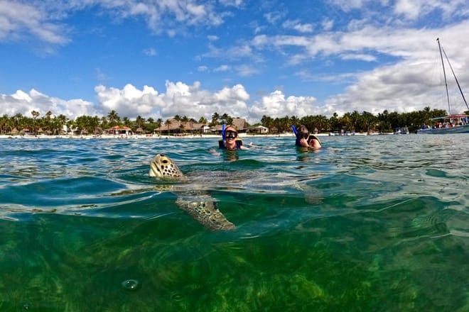 Santuario de tortugas Akumal Snorkel Experiencia marina
