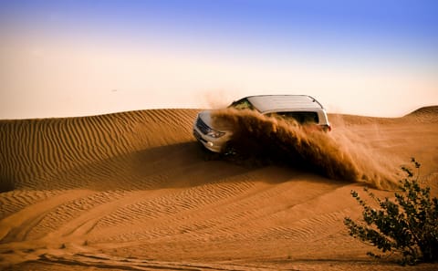 Private Desert Safari in Dubai with BBQ Dinner Experience