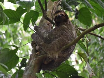 Guided Nature Tour of the Animal Rescue Center in San José