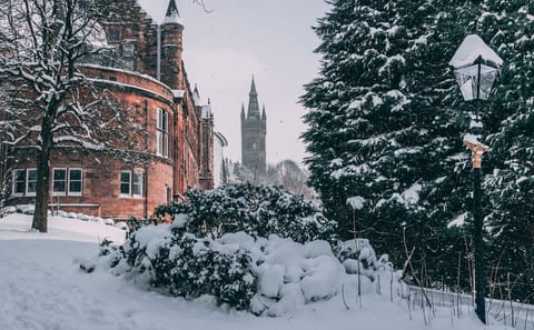 Private Walking Tour of Glasgow's Culture and History