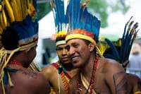 Indigenous Guarani Village & Atlantic Forest — Private Day Trip 1