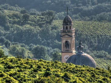 E-bike Tour and Amarone Wine Tasting in Marano di Valpolicella