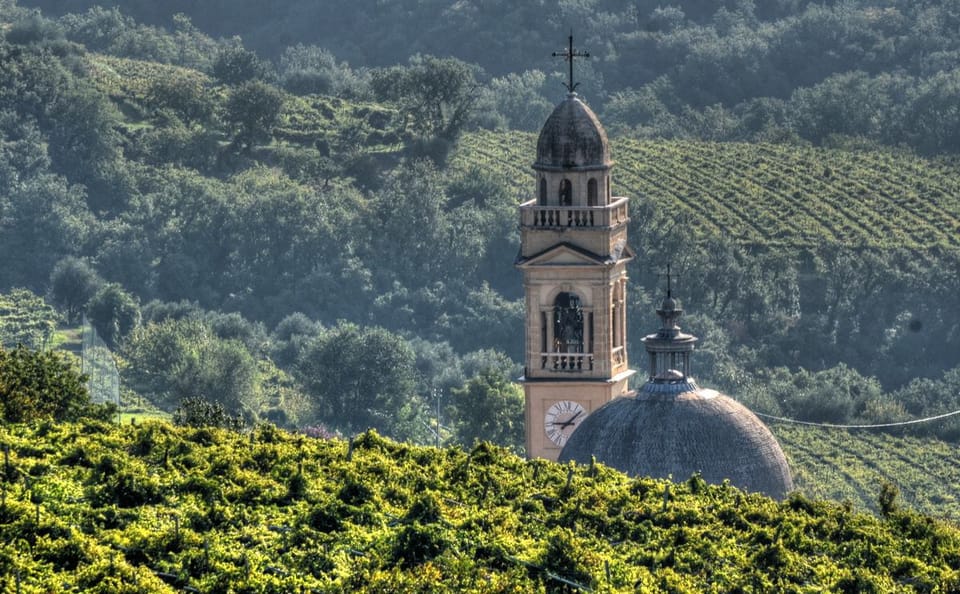 E-bike Tour and Amarone Wine Tasting in Marano di Valpolicella
