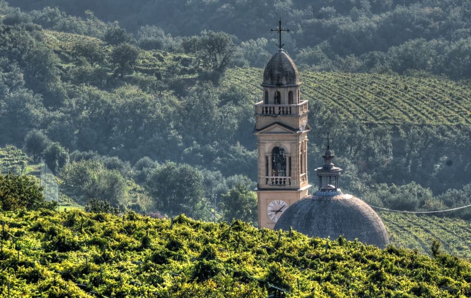 E-bike Tour and Amarone Wine Tasting in Marano di Valpolicella