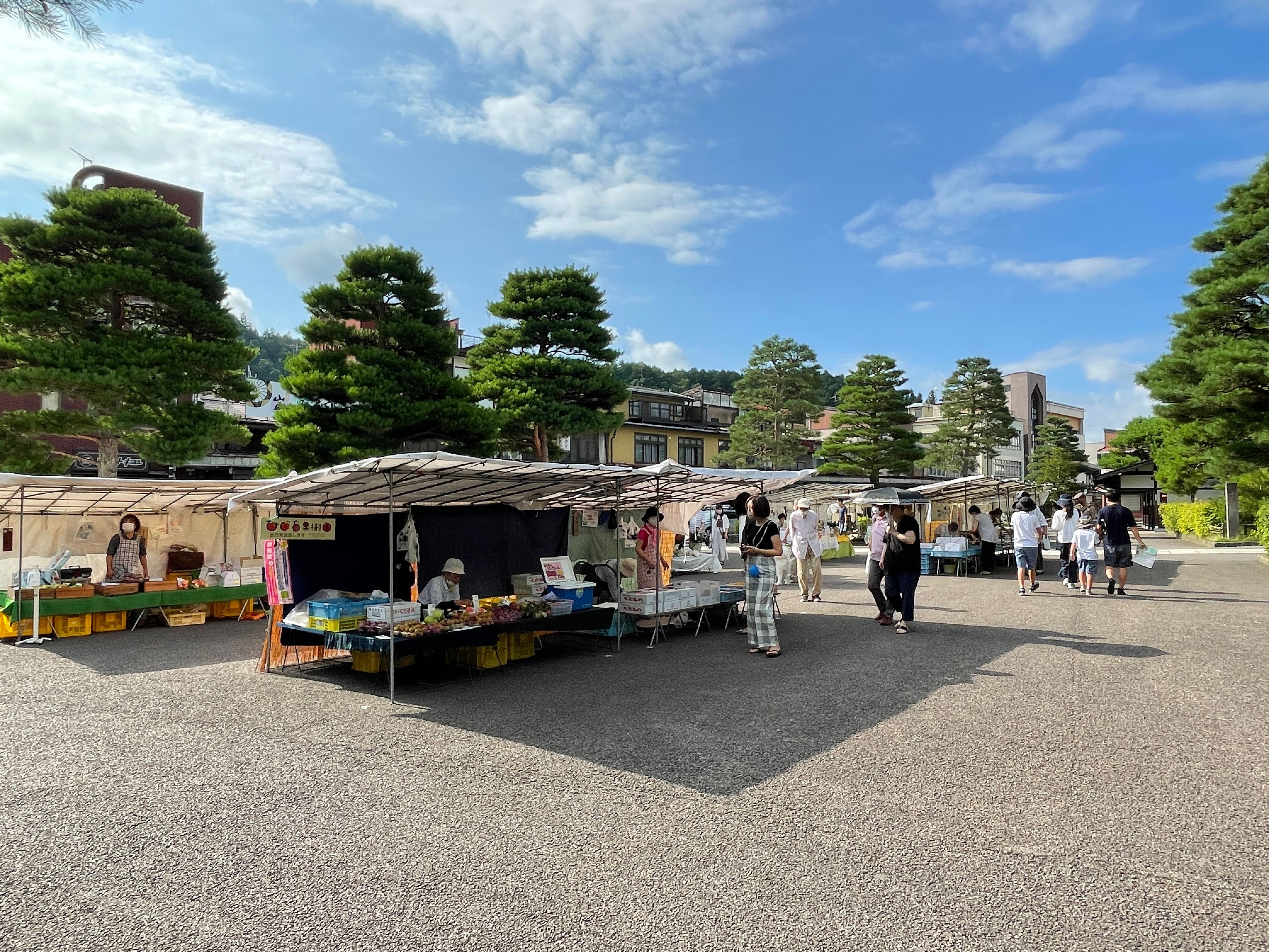 Takayama oldtownship walking tour with local guide. (About 45min)