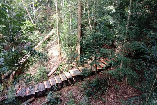 Taman Negara National Park Trek Day Tour (SIC/Shared Tour)