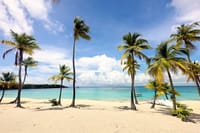 Enjoy the stunning views and white sand beaches of Saona Island a true Caribbean paradise.