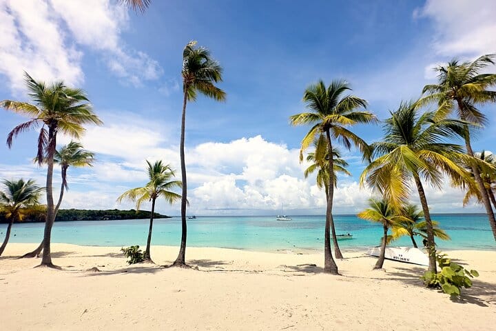 Enjoy the stunning views and white sand beaches of Saona Island a true Caribbean paradise.