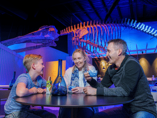 Whale Watching & Whales of Iceland Museum, photo 6