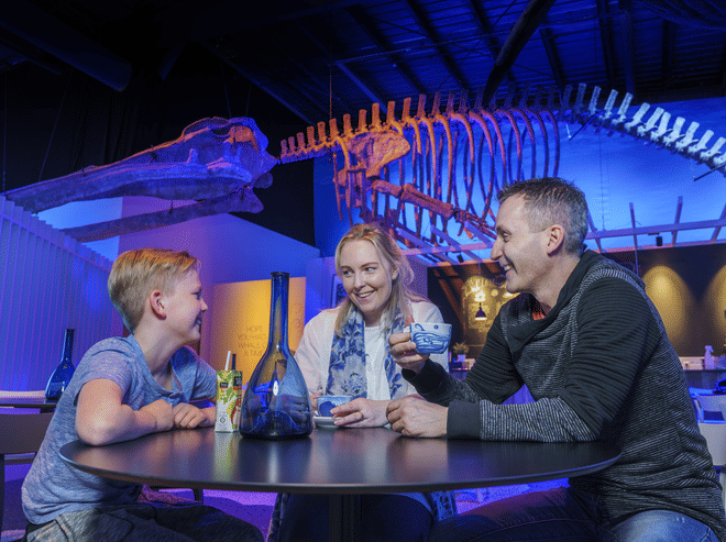 Whale Watching & Whales of Iceland Museum photo 6
