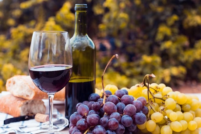 Horseback riding and wines from Santiago 7