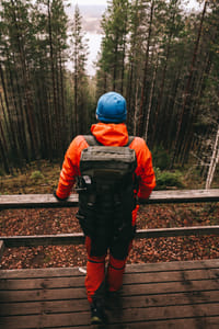 Guided Forest trek