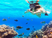 Saona Island Catamaran Tour from Bayahibe beach 1