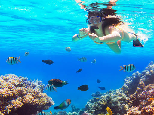 Saona Island Catamaran Tour from Bayahibe beach