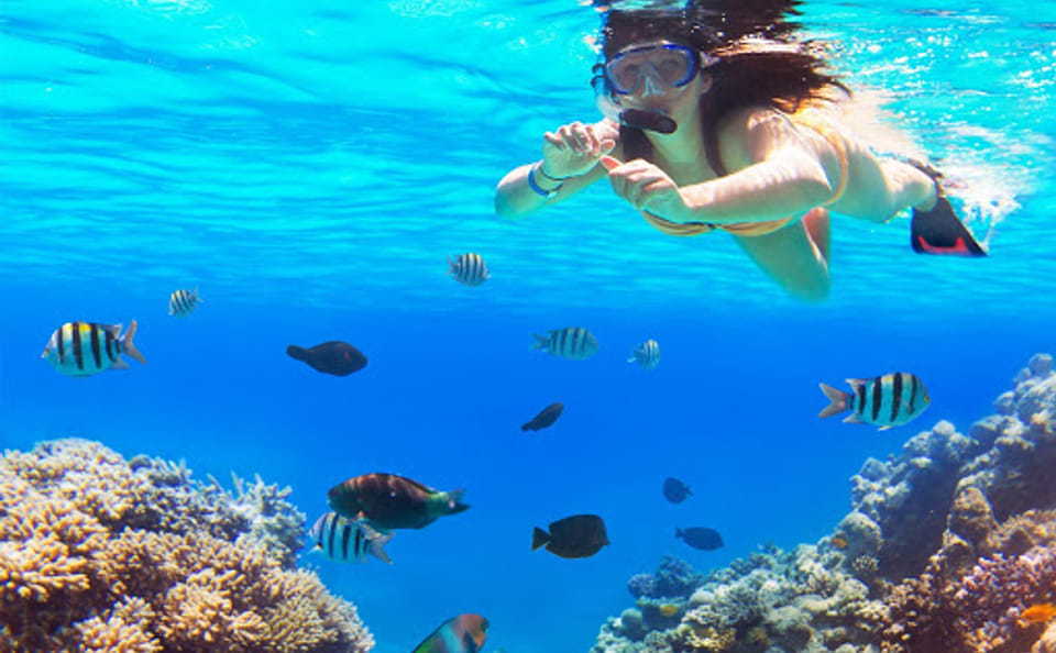 Saona Island Catamaran Tour from Bayahibe beach