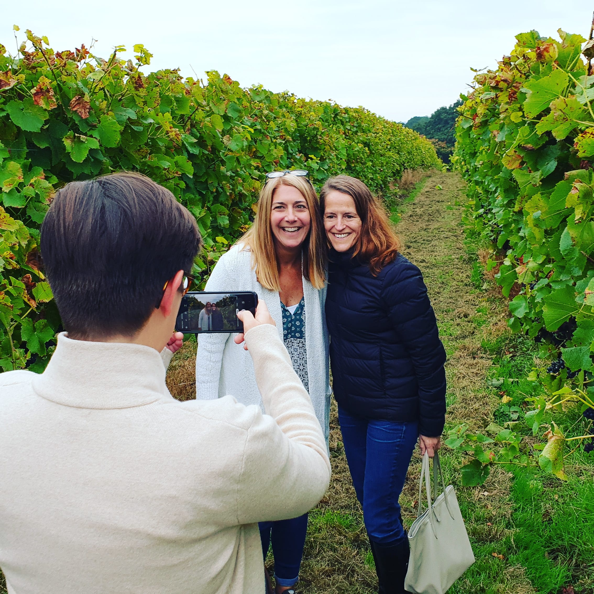 Full Day English Wine Tour with Lunch from London