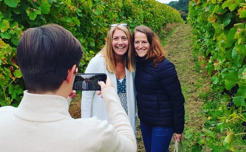 Full Day Wine Tour with Lunch at Sedlescombe Vineyard from London