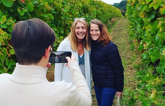 Full Day English Wine Tour with Lunch from London