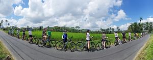  A Ride Bali Bike Rural Tour Including Hotel Pick up