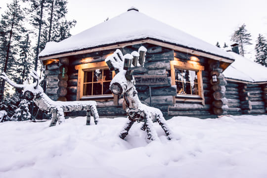 Luxury Log Sauna and Finnish Dinner, 3 hours (Private Tour)