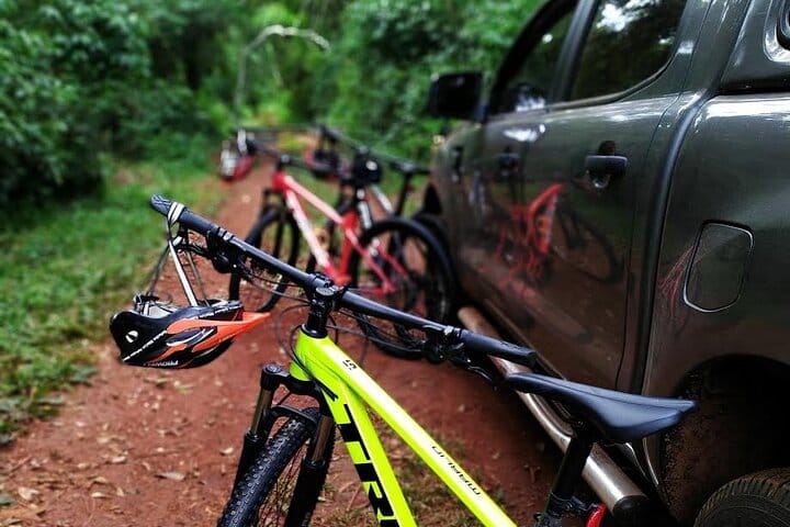 Jungle Wildlife Bike Tour to Iguazu National Park & Jaguar Road