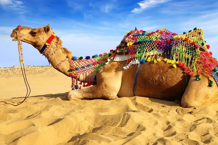 Jaipur Heritage walk Tour